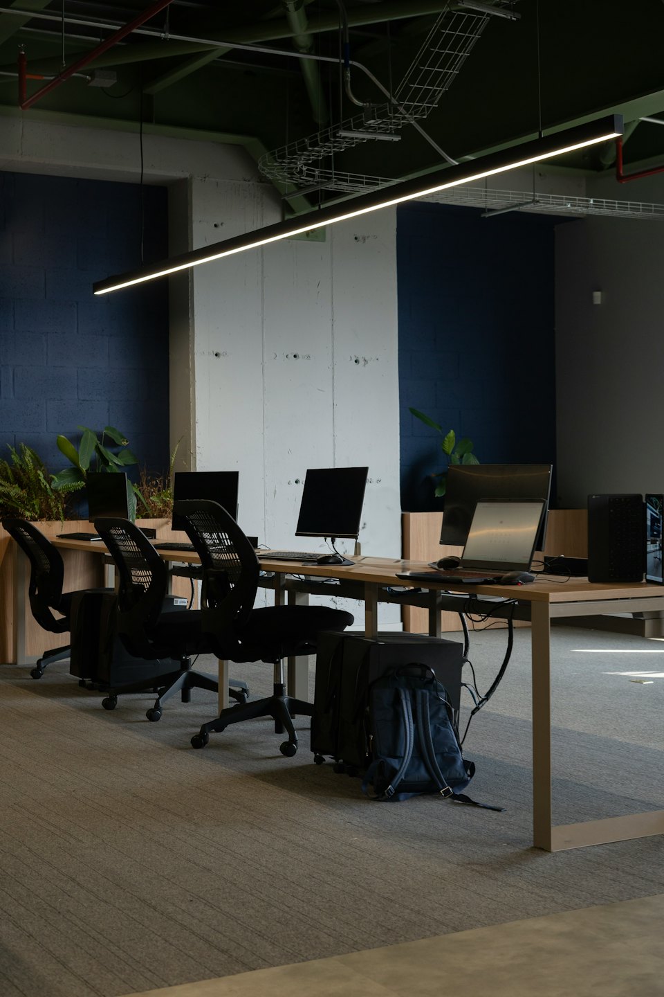 Bureau moderne avec postes de travail, ordinateurs et plantes sur tapis gris.